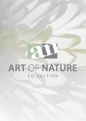 Art of Nature Collection